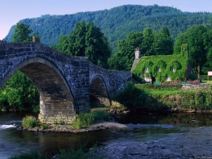 Antiguo puente de piedra en plena naturaleza