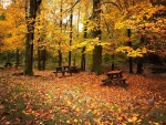 Parque en otoño