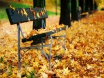 Banco lleno de hojas en otoño
