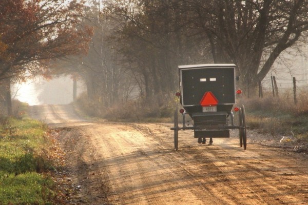 Caballo con calesa de Amish, cerca de Topeka, Indiana