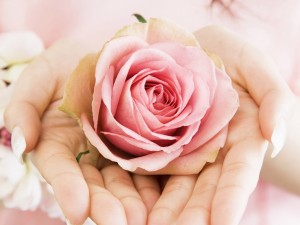 Postal: Dos manos sosteniendo una rosa