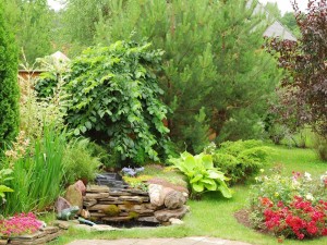 Postal: Un jardín con plantas variadas