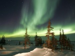 La Aurora Boreal sobre un paisaje helado