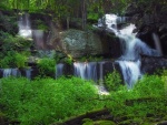 Cascadas de agua cayendo por la piedra en un bosque verde y frondoso