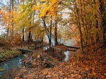 Pequeño puente de madera lleno de hojas caidas