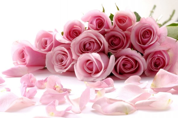 Un ramo con una docena de rosas rosadas