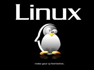 Linux, haga que su computadora se sienta mejor...