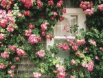 Casa rural adornada con flores silvestres rosas