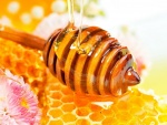 Cuchara de miel