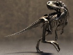 Esqueleto de un Tyrannosaurus rex