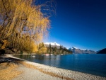 Lago Wakatipu, Queenstown (Nueva Zelanda)