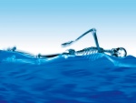 Esqueleto nadando