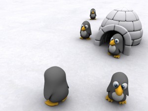 Mini-pingüinos