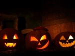 Calabazas de Halloween iluminadas