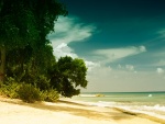 Playa en Barbados