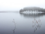 Niebla en el lago