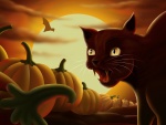 Gato entre calabazas en la noche de Halloween