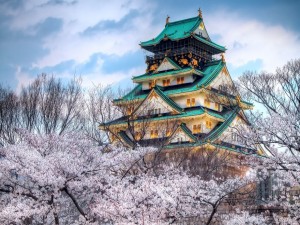 Postal: Templo japonés rodeado de cerezos en flor