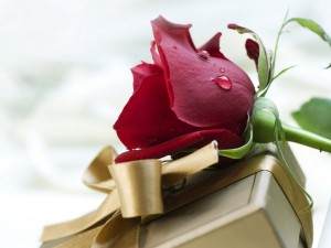 Postal: Un regalo y una rosa