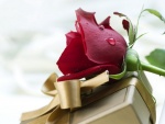 Un regalo y una rosa