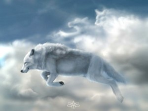 Lobos blancos en el cielo