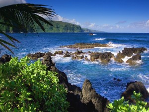 Postal: Costa de Maui (Islas Hawái)