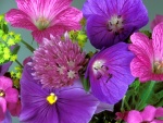 Conjunto floral en tonos lilas