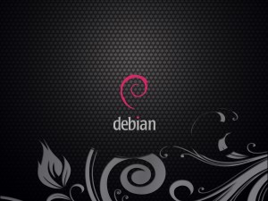 Distribución GNU/Linux Debian