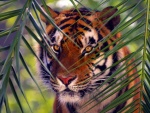 Tigre camuflado entre las hojas