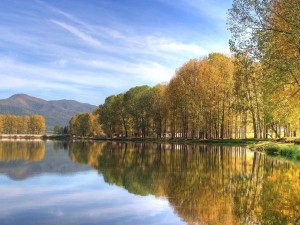 Árboles reflejados en las aguas de un lago en calma