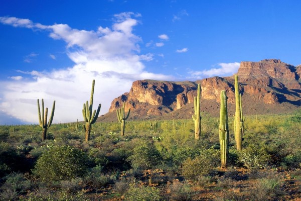 Montañas de la superstición (Arizona)