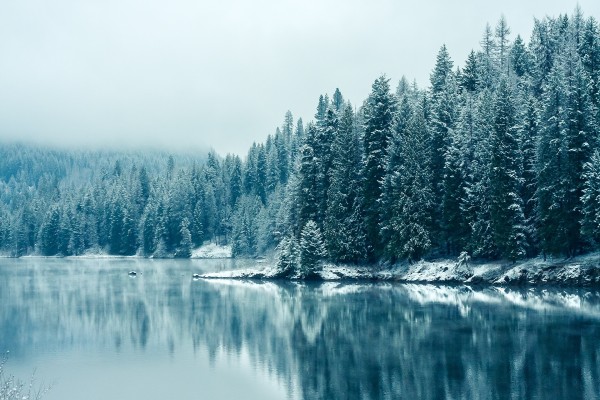 Río Kootenay (Columbia Británica)