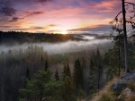 Parque nacional de Nuuksio, Finlandia