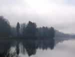 Neblina en el lago