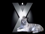 El tigre blanco de Mac OS X