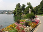 Flores a orillas del lago Lugano (Suiza)