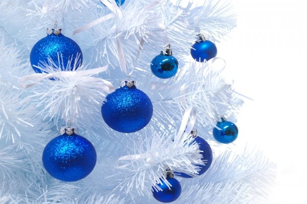 Bolas azules colgadas de un pino blanco