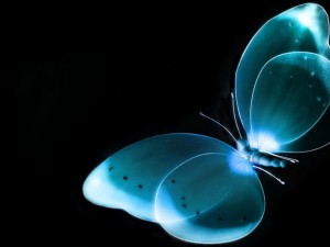 Postal: Mariposa azul fluorescente