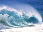 El rizo de una ola