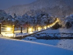 Puente iluminado cubierto de nieve