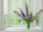 Flores lilas silvestres junto a una ventana