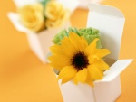 Cajas con flores amarillas para regalo