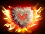 Corazón de plumas en llamas