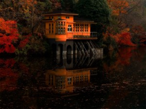 Casa naranja flotante construida a orillas de un lago