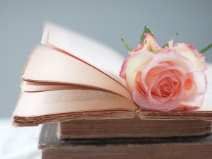 Postal: Libros antiguos y una rosa