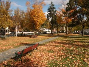 Postal: Un pequeño parque en otoño