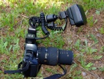 Cámara Nikon F601 analógica, con Sigma 105 EX DG macro