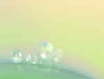 Burbujas verdosas