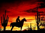 Cowboy cruzando el desierto