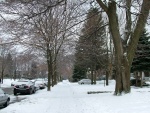 Un barrio nevado en la ciudad de Toronto, Canadá